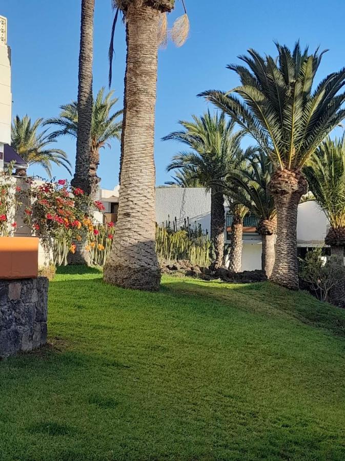Primavera Olga With Free Wifi * Arona (Tenerife)